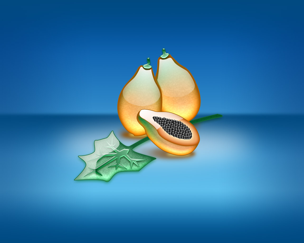 Aqua Papaya 14.jpg